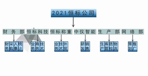 恒標(biāo)公司2021年發(fā)展戰(zhàn)略 聚焦物聯(lián)網(wǎng)技術(shù)研發(fā)，驅(qū)動(dòng)智能化未來(lái)